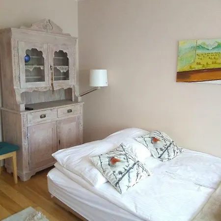 Udanypobyt Apartament Zamoyskiego Centrum Apartment Zakopane